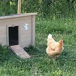 Le Clos Charmaine 別荘 Auquemesnil