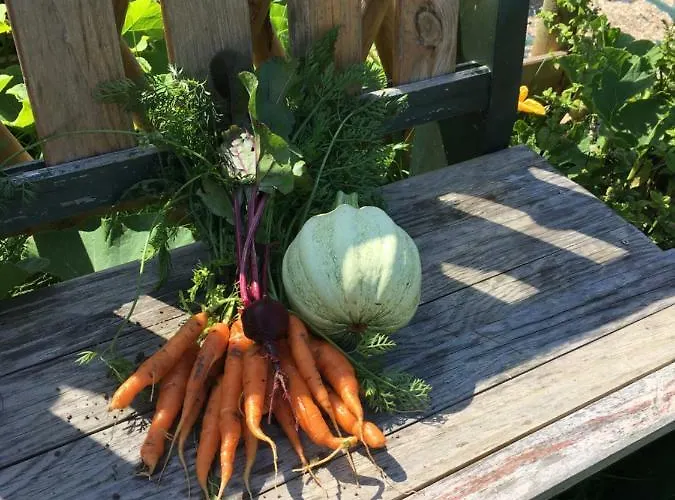 Σπίτι διακοπών Le Clos Charmaine Auquemesnil