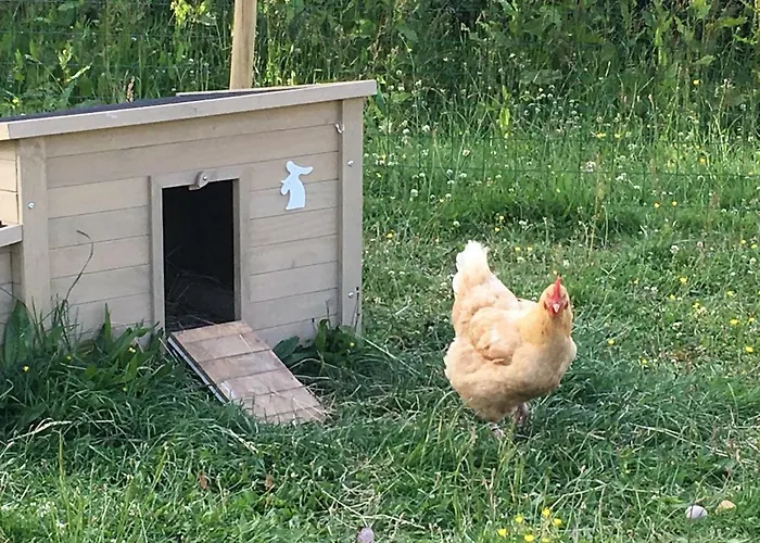 Le Clos Charmaine Σπίτι διακοπών Auquemesnil